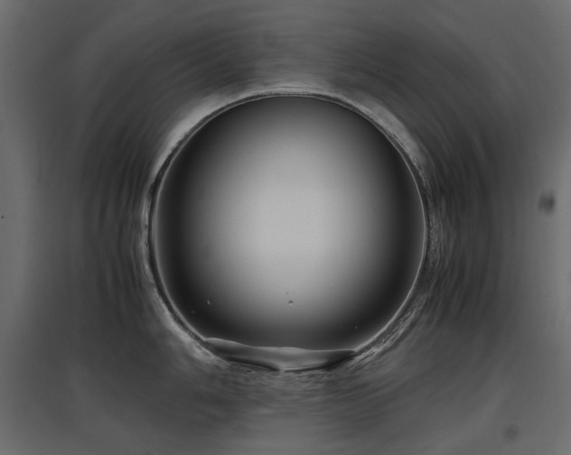 X0000097761006200803071250