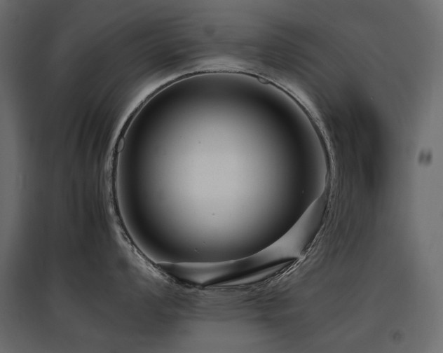 X0000097761008200803071250