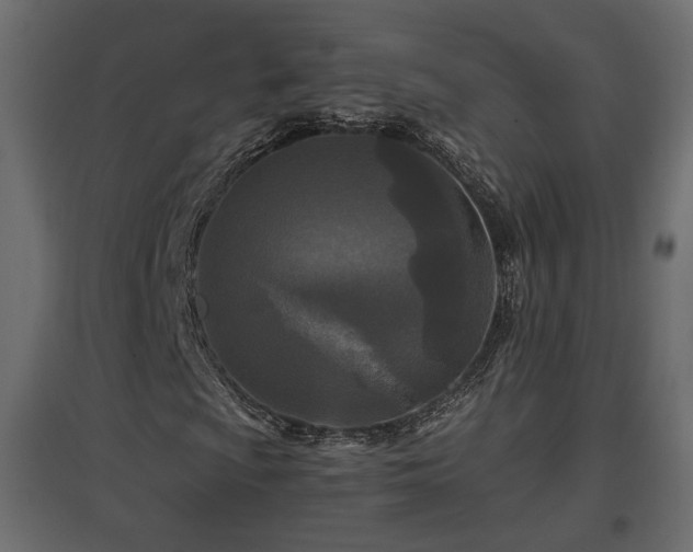 X0000097761009200803071250