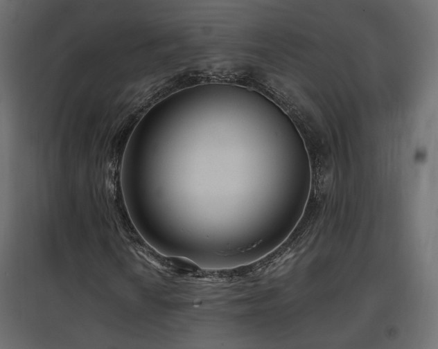 X0000097761010200803071250