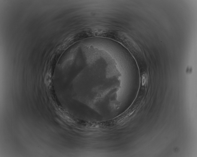 X0000097761011200803071250