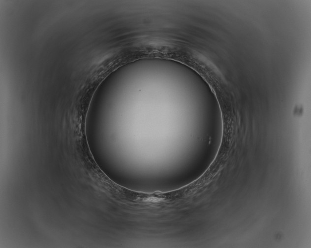 X0000097761013200803071250