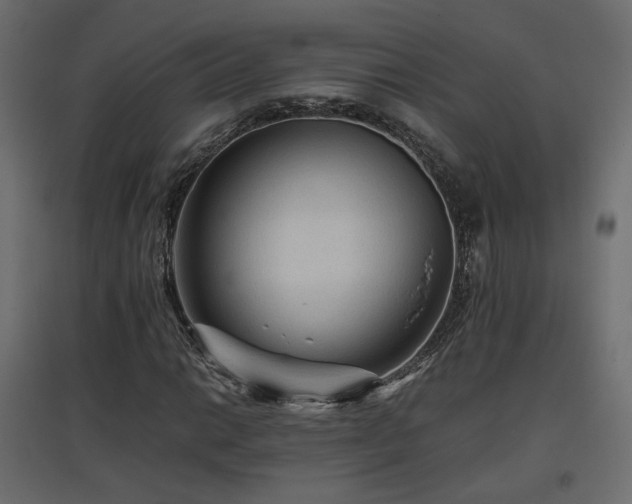 X0000097761014200803071250