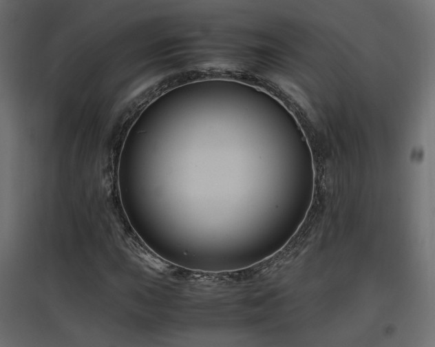 X0000097761015200803071250