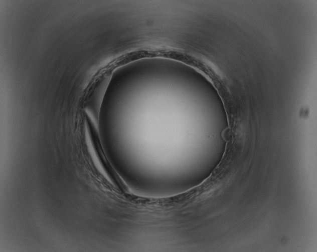 X0000097761016200803071250