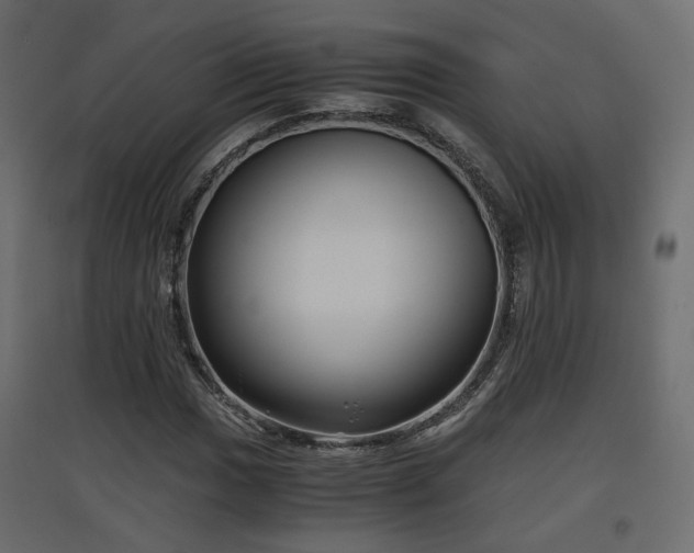 X0000097761017200803071250