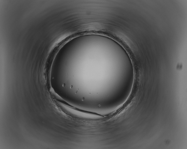 X0000097761018200803071250
