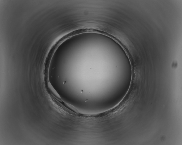 X0000097761020200803071250