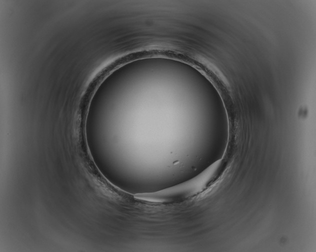 X0000097761021200803071250