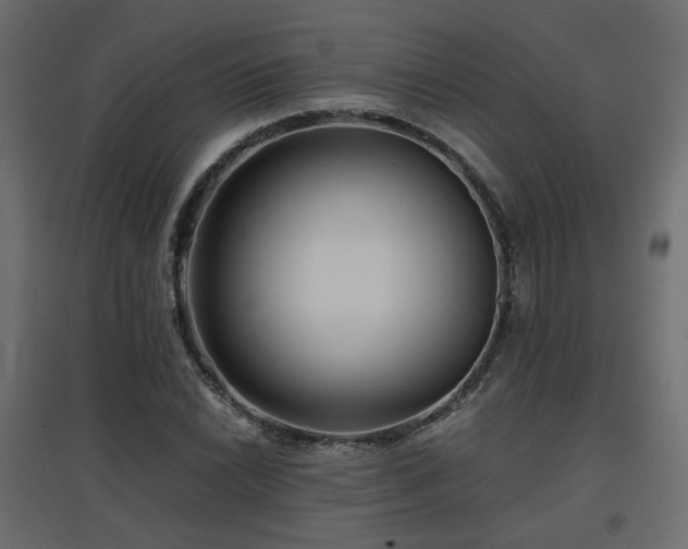 X0000097761022200803071250