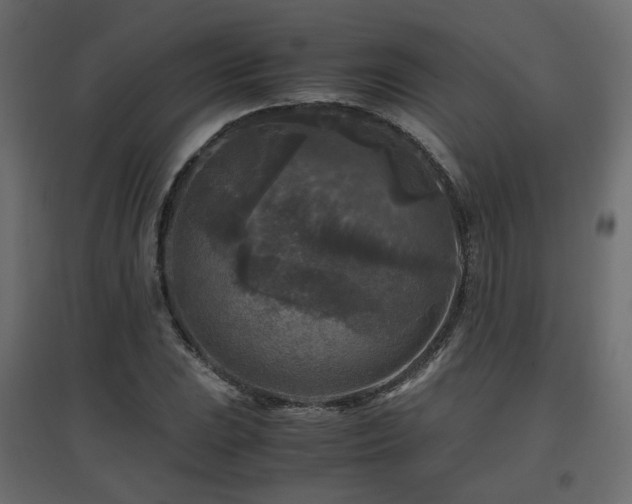 X0000097761023200803071250