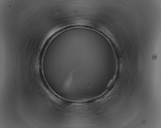 X0000097761024200803071250