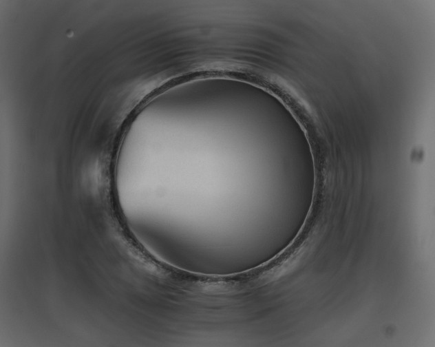 X0000097761025200803071250