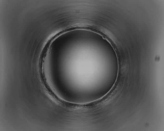 X0000097761026200803071250