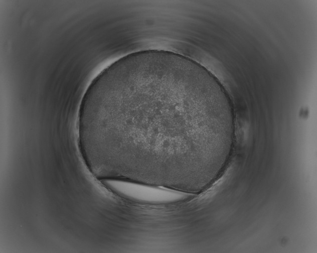 X0000097761028200803071250