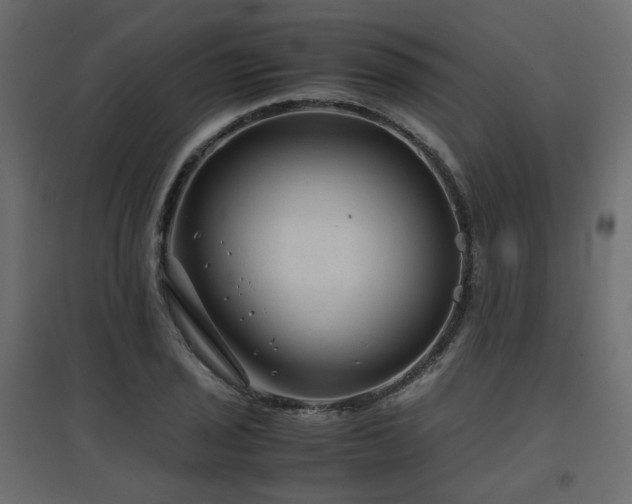 X0000097761029200803071250