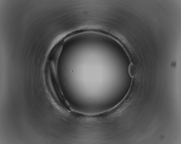 X0000097761030200803071250