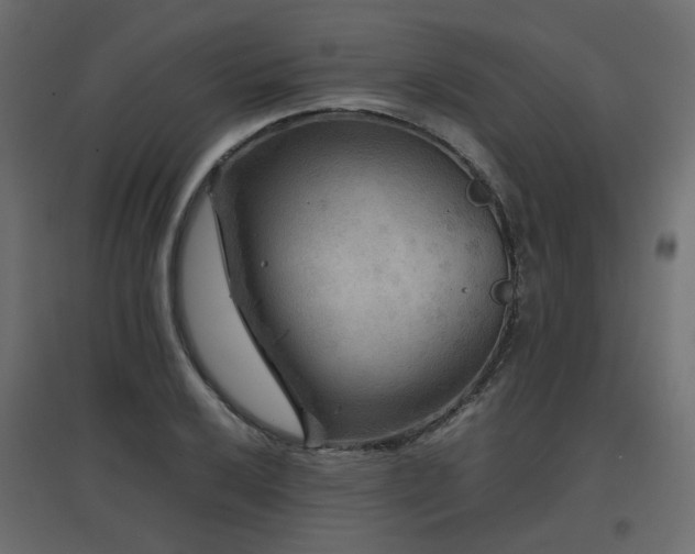 X0000097761032200803071250