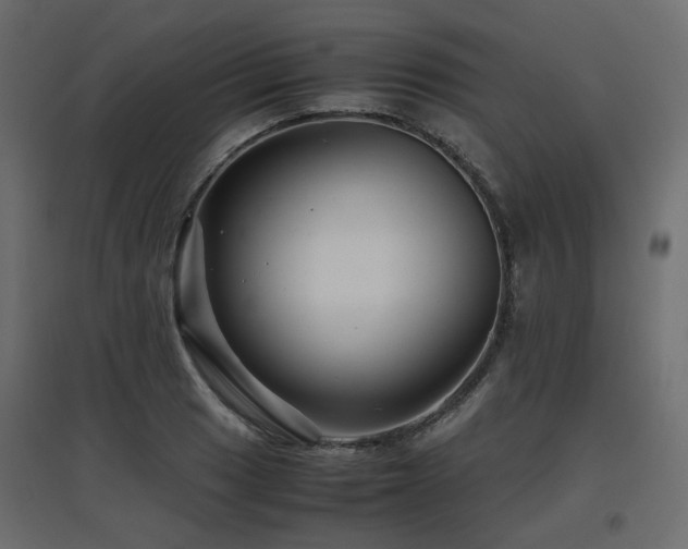 X0000097761033200803071250