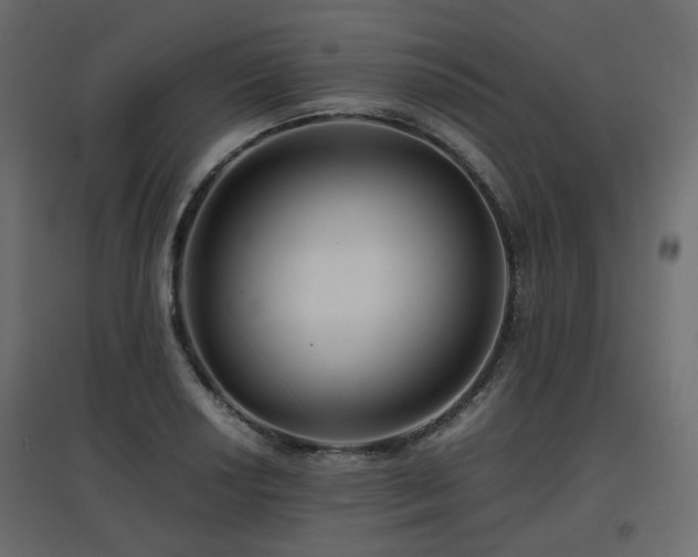 X0000097761034200803071250