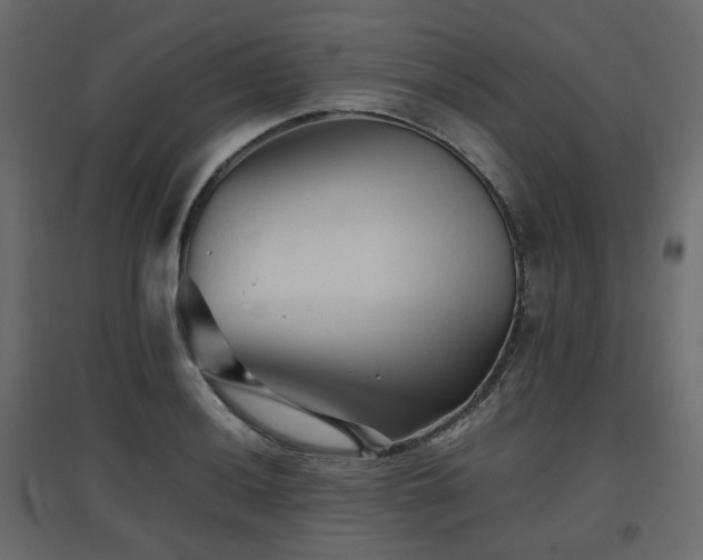 X0000097761036200803071250