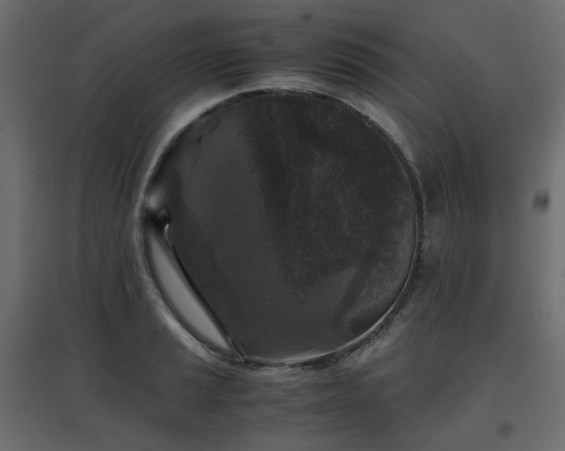 X0000097761037200803071250