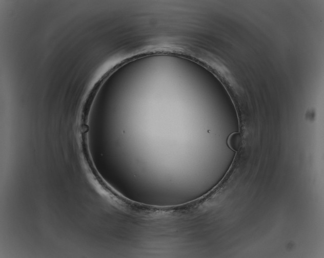 X0000097761038200803071250