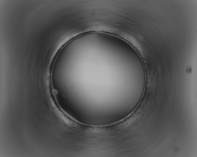 X0000097761040200803071250