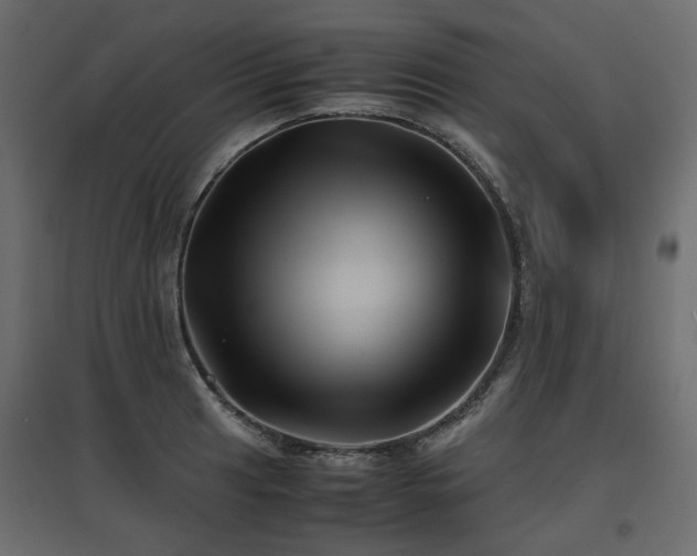 X0000097761041200803071250