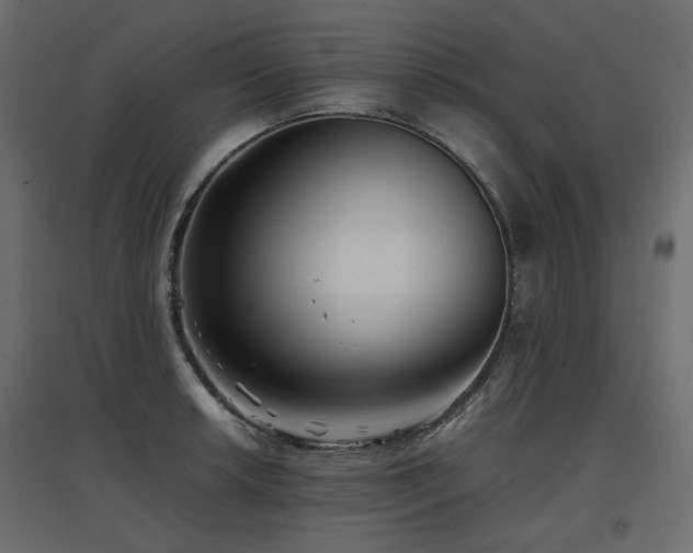 X0000097761042200803071250