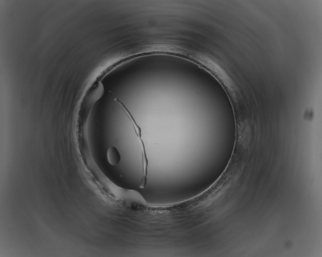 X0000097761043200803071250