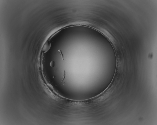 X0000097761044200803071250