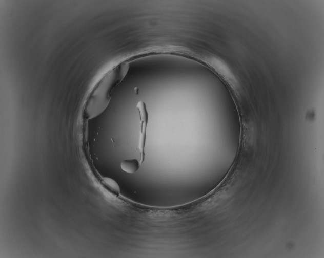 X0000097761046200803071250