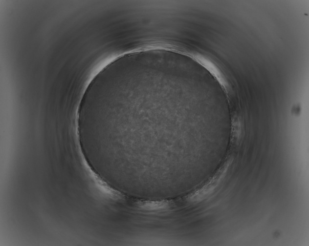X0000097761047200803071250