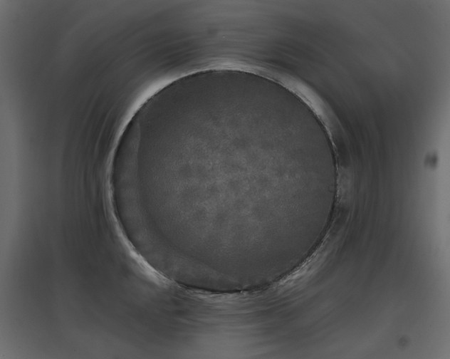 X0000097761048200803071250