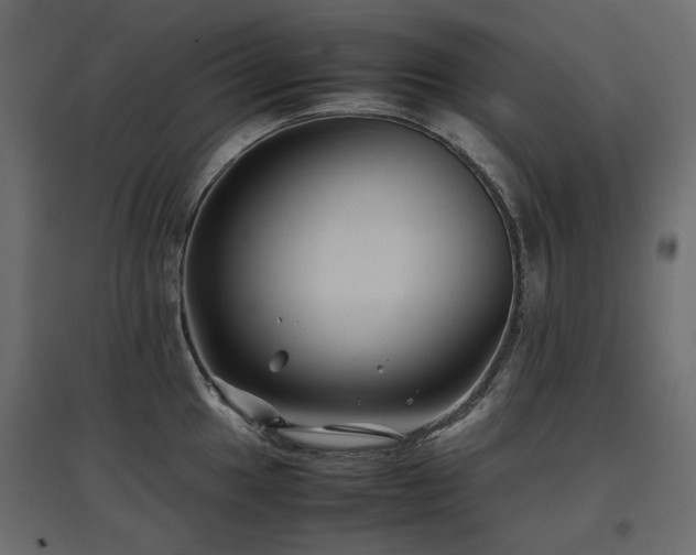 X0000097761049200803071250