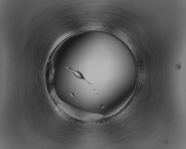 X0000097761050200803071250