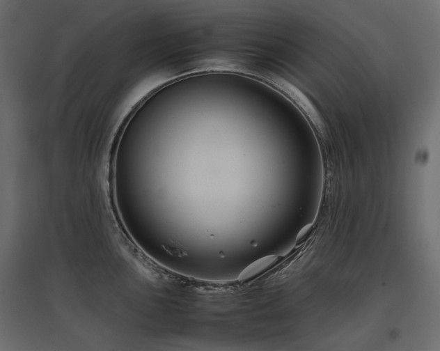 X0000097761051200803071250