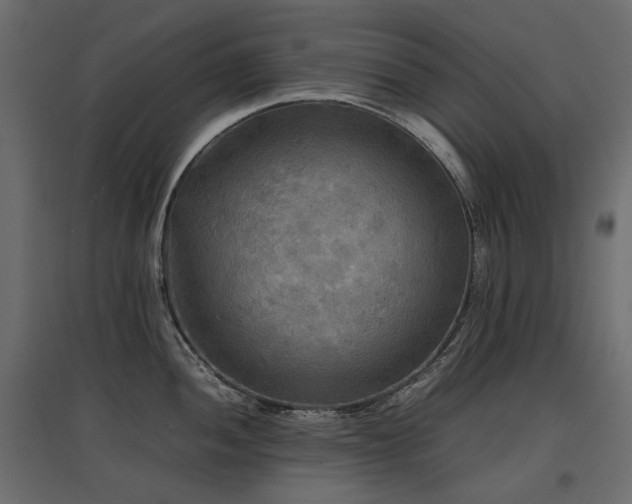 X0000097761052200803071250
