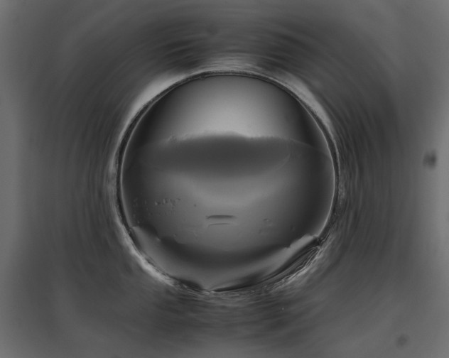 X0000097761053200803071250