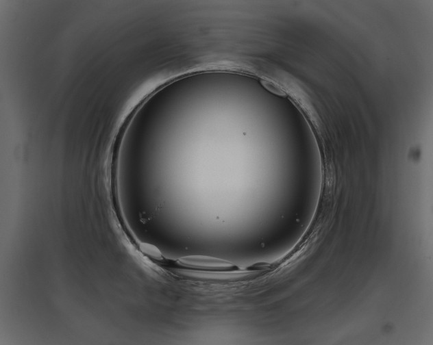 X0000097761054200803071250