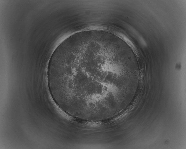 X0000097761055200803071250