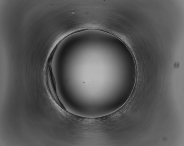 X0000097761056200803071250