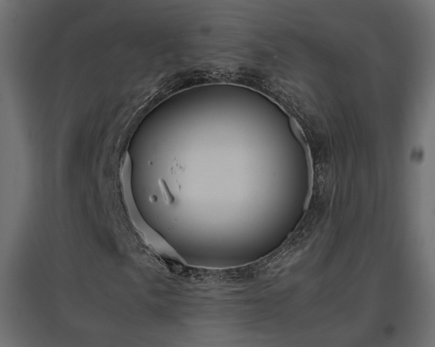 X0000097761057200803071250