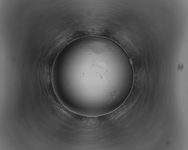 X0000097761058200803071250