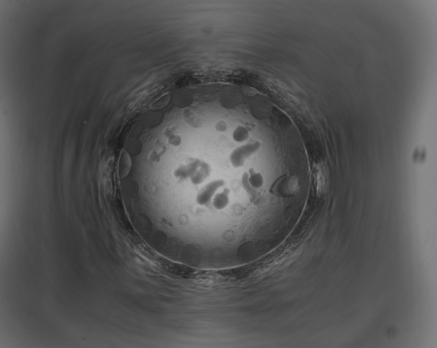 X0000097761059200803071250