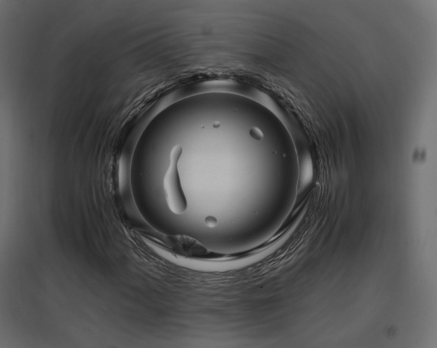 X0000097761060200803071250