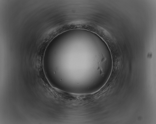 X0000097761062200803071250