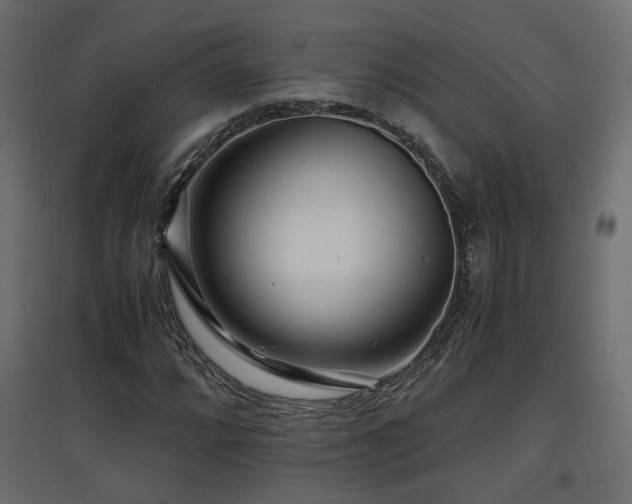 X0000097761064200803071250