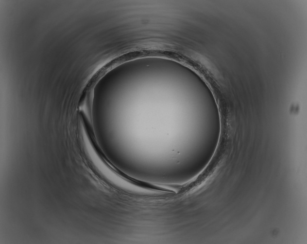 X0000097761065200803071250